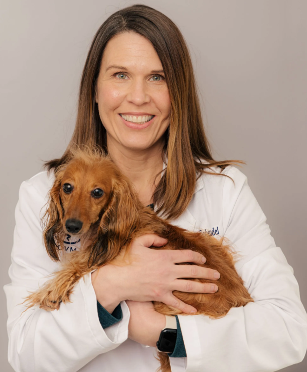 Union Avenue Veterinary Hospital in Tacoma, WA