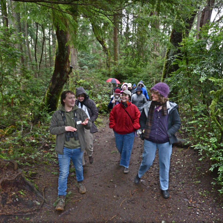 Camping & Hiking Hotspots in Tacoma, WA
