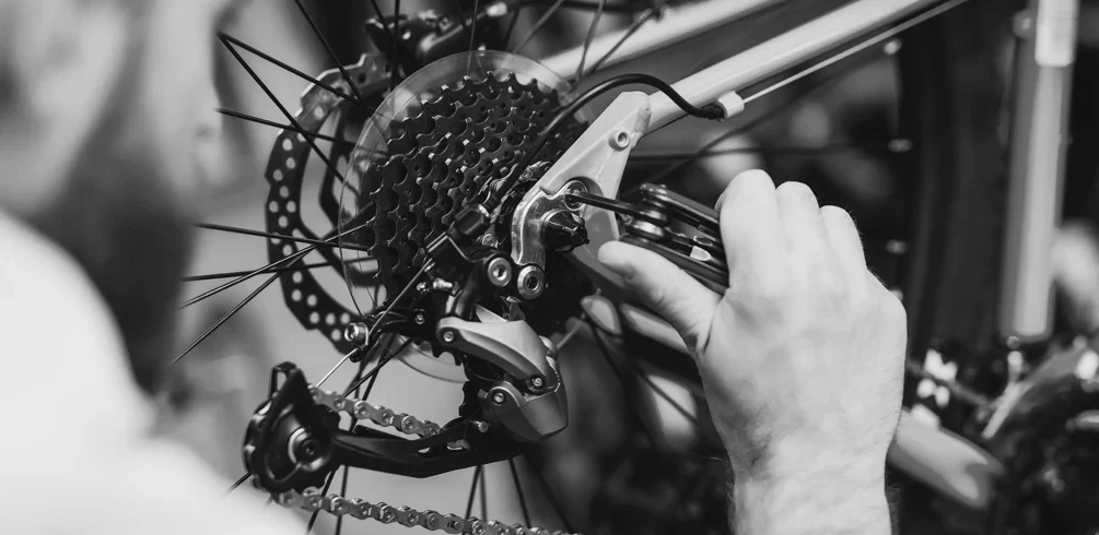 Tacoma Bike